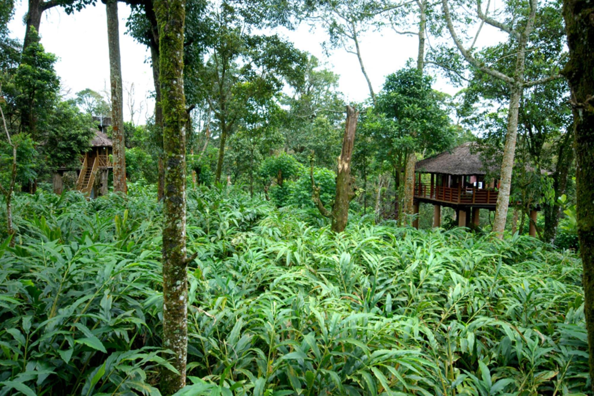 Carmelia Haven Resort Thekkady Exterior photo