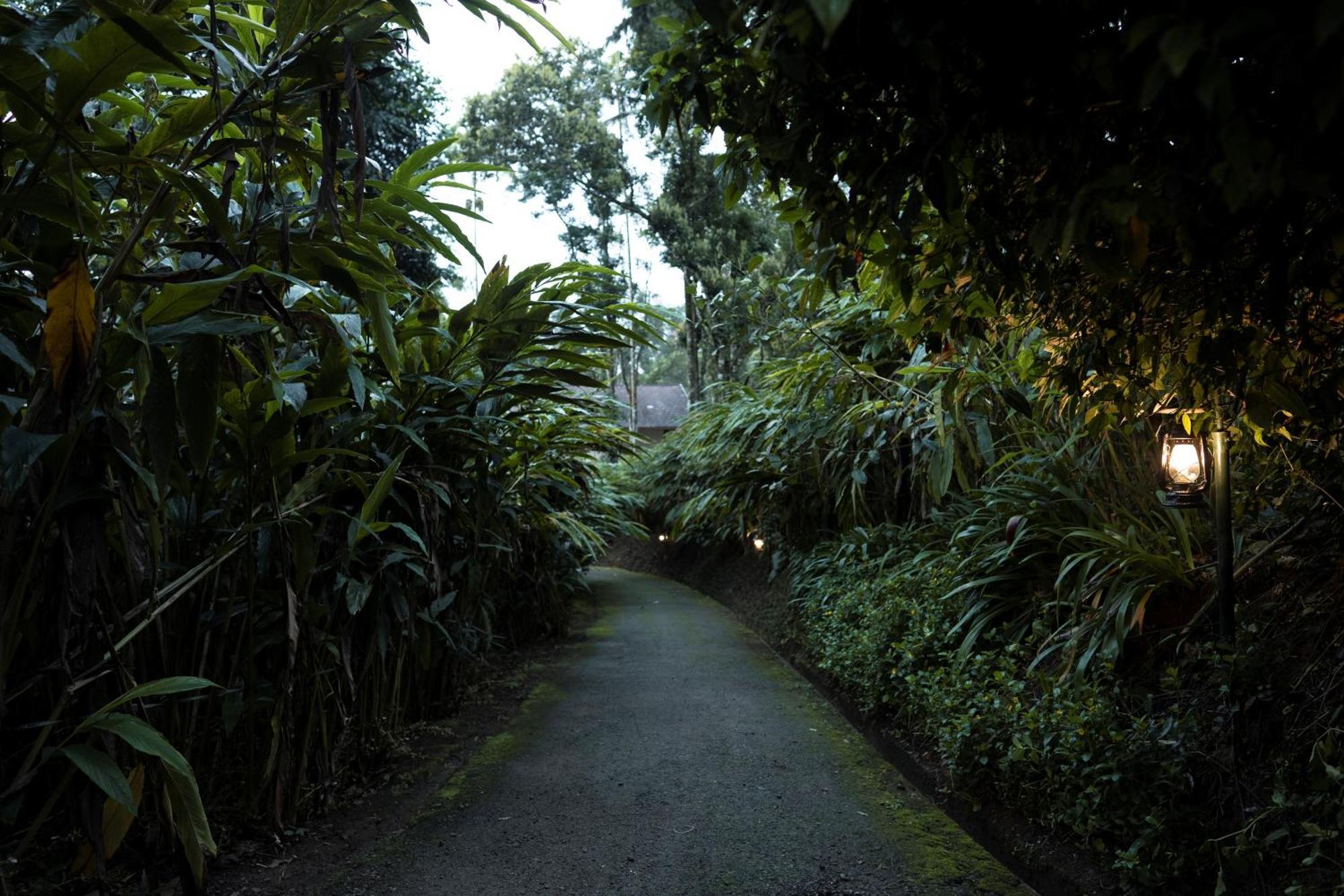 Carmelia Haven Resort Thekkady Exterior photo